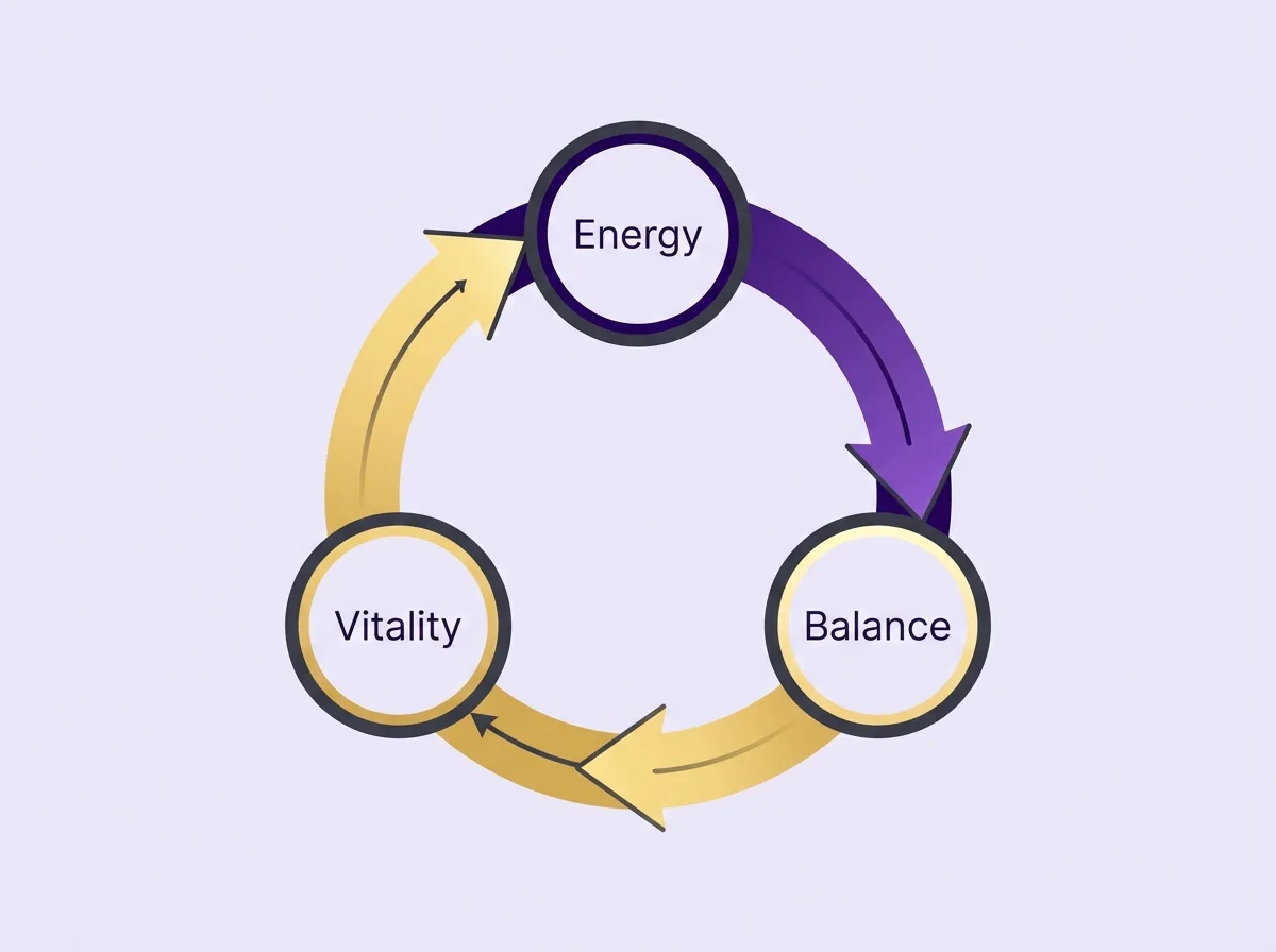 Circular metabolic cycle diagram: Energy, Balance and Vitality connected by flowing arrows in purple and gold